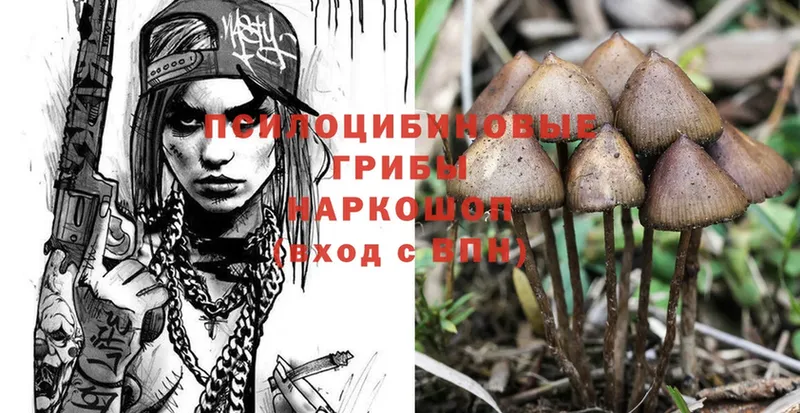 Псилоцибиновые грибы MAGIC MUSHROOMS  ОМГ ОМГ ONION  Краснослободск 